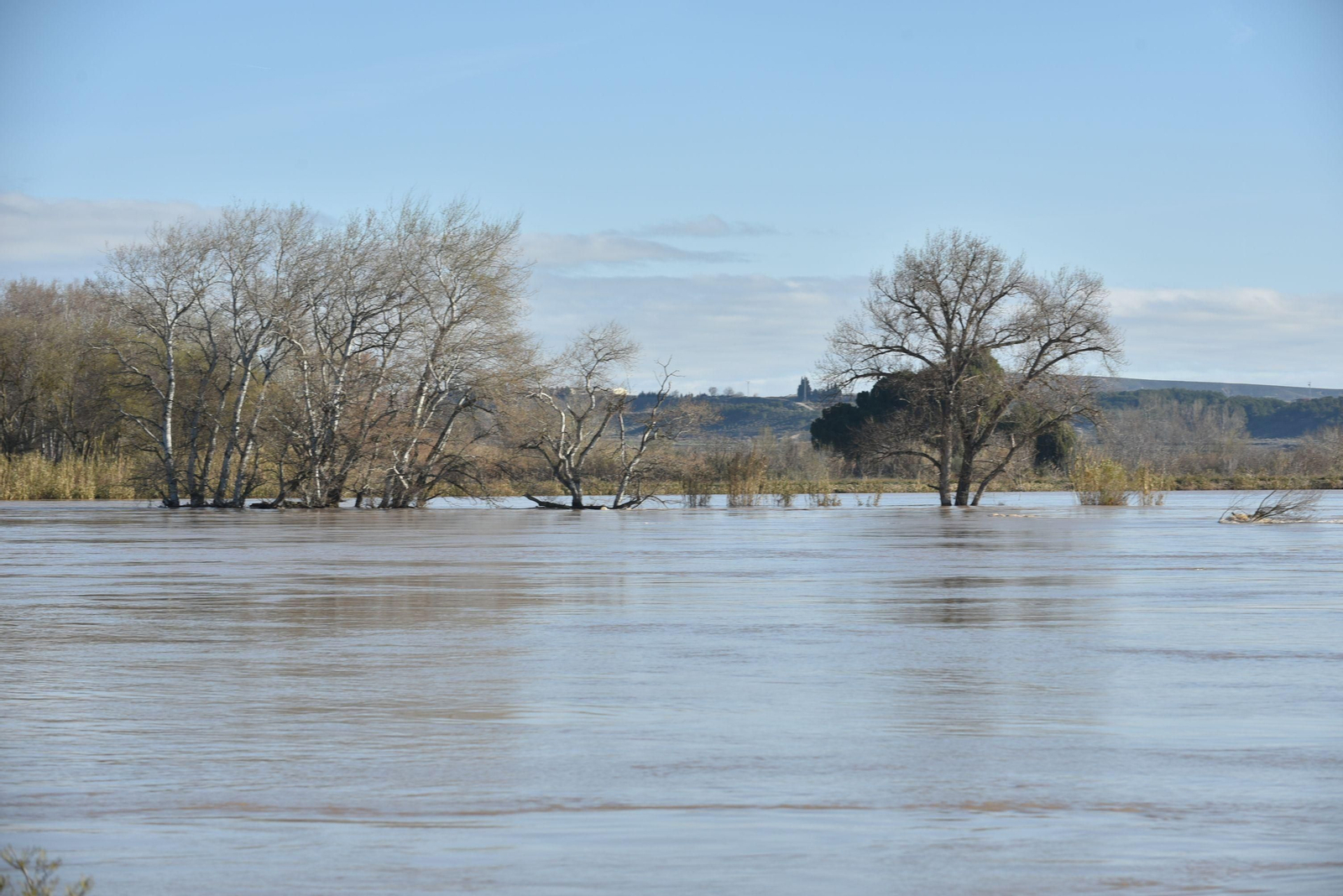 Imágenes de la crecida del río Ebro a su paso por Zaragoza