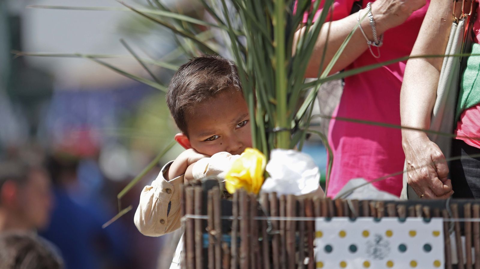 Fotos de la romería del Cristo de la Almoraima en Castellar