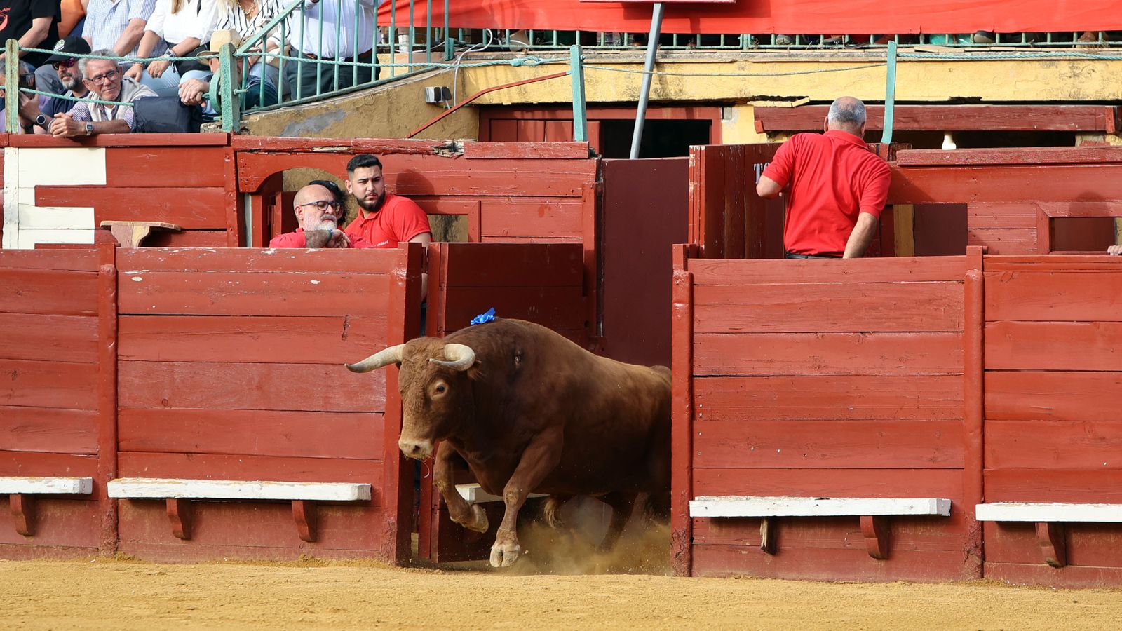 Tarde de toros con Roca Rey, Talavante y Aguado en la Feria de Jerez