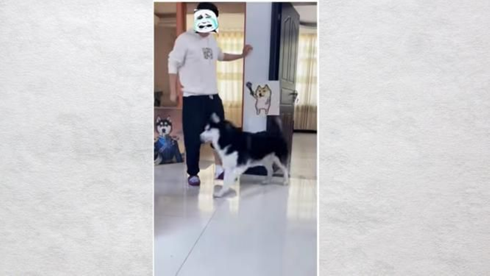 Un chico camina a la pata coja por una lesión y sus perros, entre ellos un Husky siberiano, lo imitan