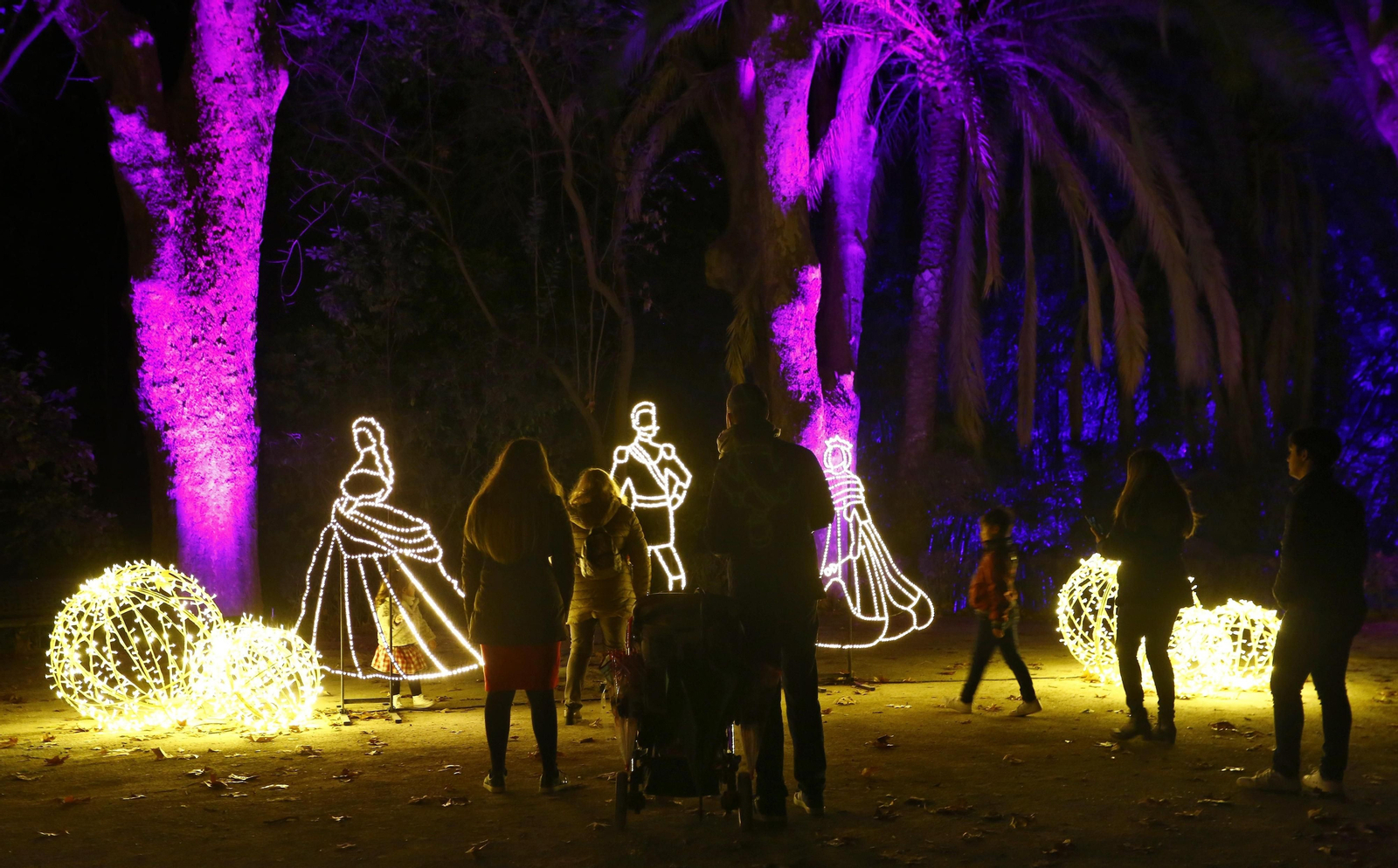 Las luces del Jardín Botánico de Málaga, en fotos