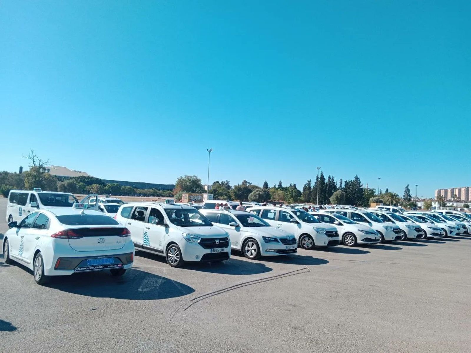 Concentración de los taxistas de Jerez este jueves en el aparcamiento junto al González Hontoria.