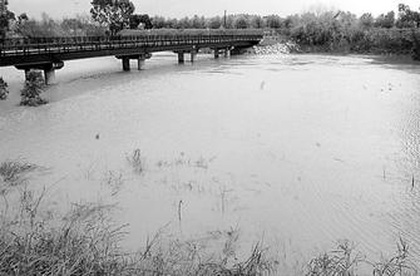 Los bomberos tuvieron que trabajar a fondo para achicar agua. Hicieron más de veinte intervenciones.