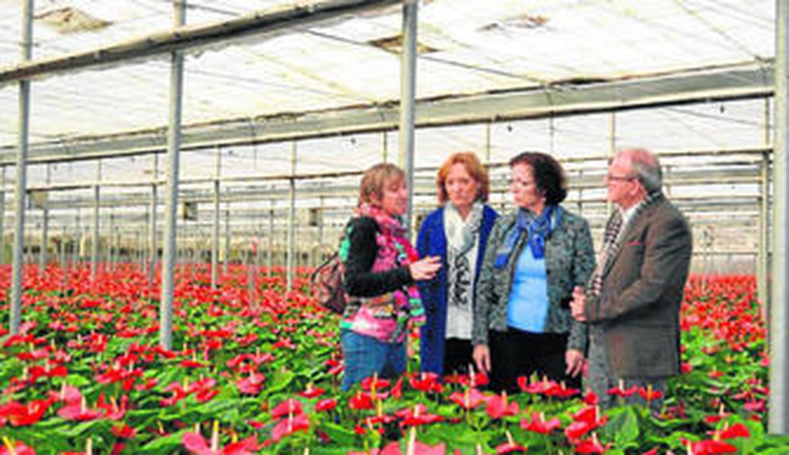 La empresaria Antonia Salmerón ha mostrado su invernadero a la consejera de Agricultura, la delegada y al alcalde.