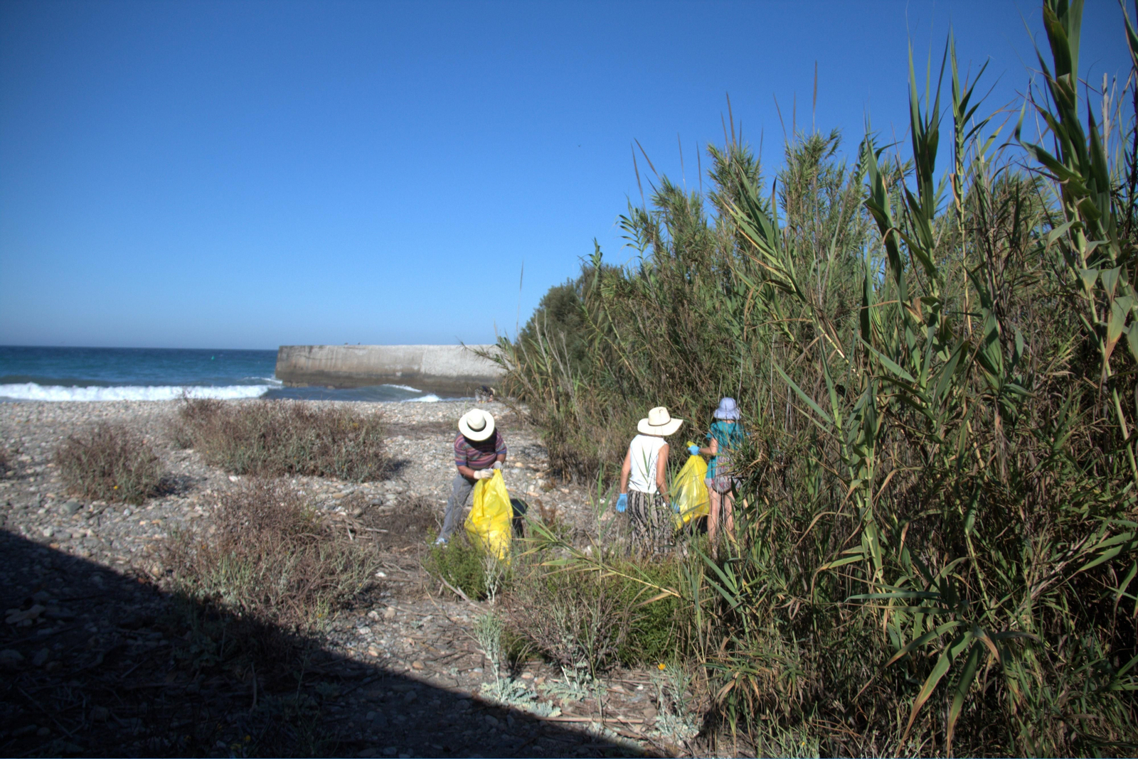 Así ha sido la jornada de limpieza de la desembocadura del río Guadalfeo en Salobreña