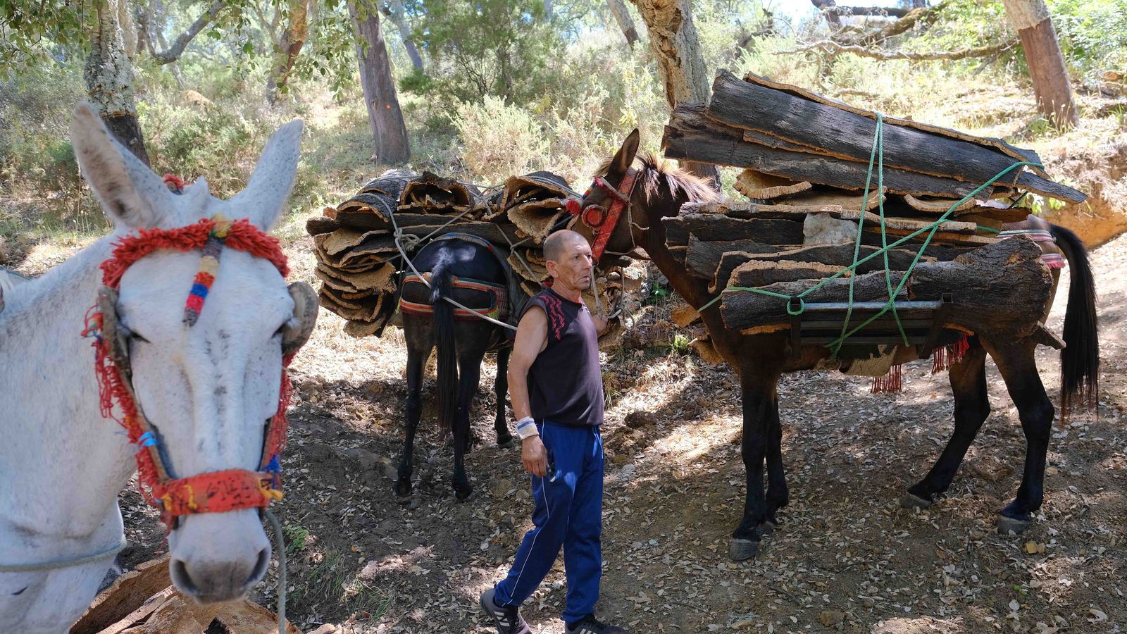 Los arrieros son también fundamentales para el transporte.
