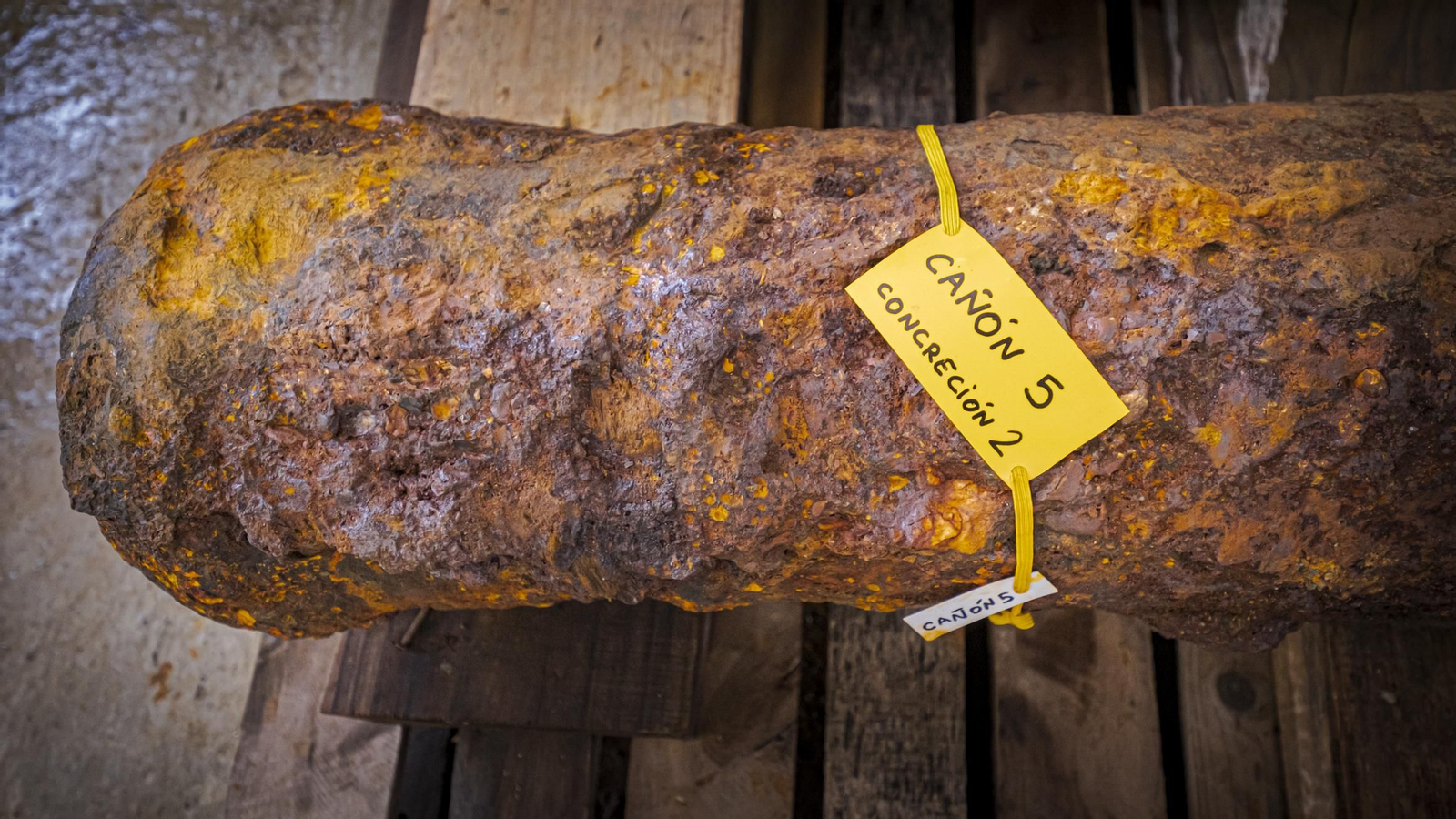Las imágenes del pecio del siglo XVII (Delta I) rescatado en aguas de la Bahía de Cádiz