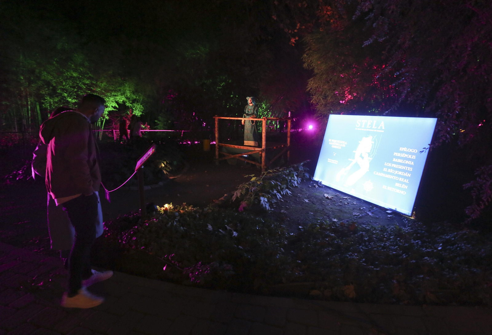 Las luces del Jardín Botánico de Málaga esta Navidad, en fotos