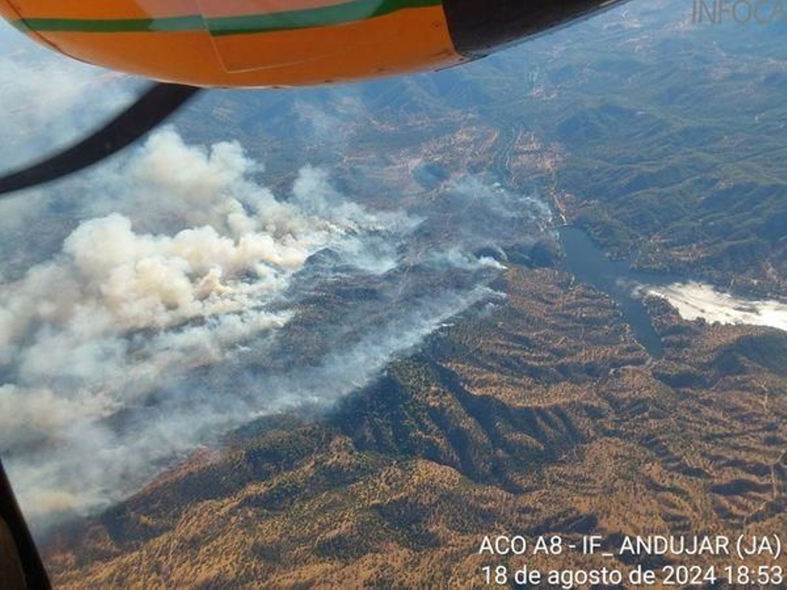 Así es el trabajo de los bomberos y equipos de extinción en el incendio de Andújar, en imágenes