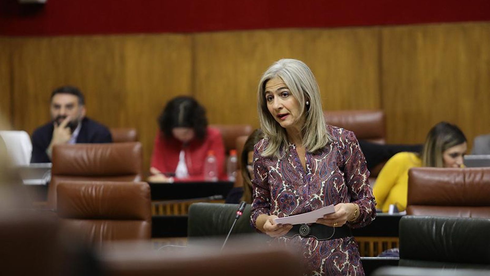 La consejera de Cultura durante su intervención en el Parlamento.