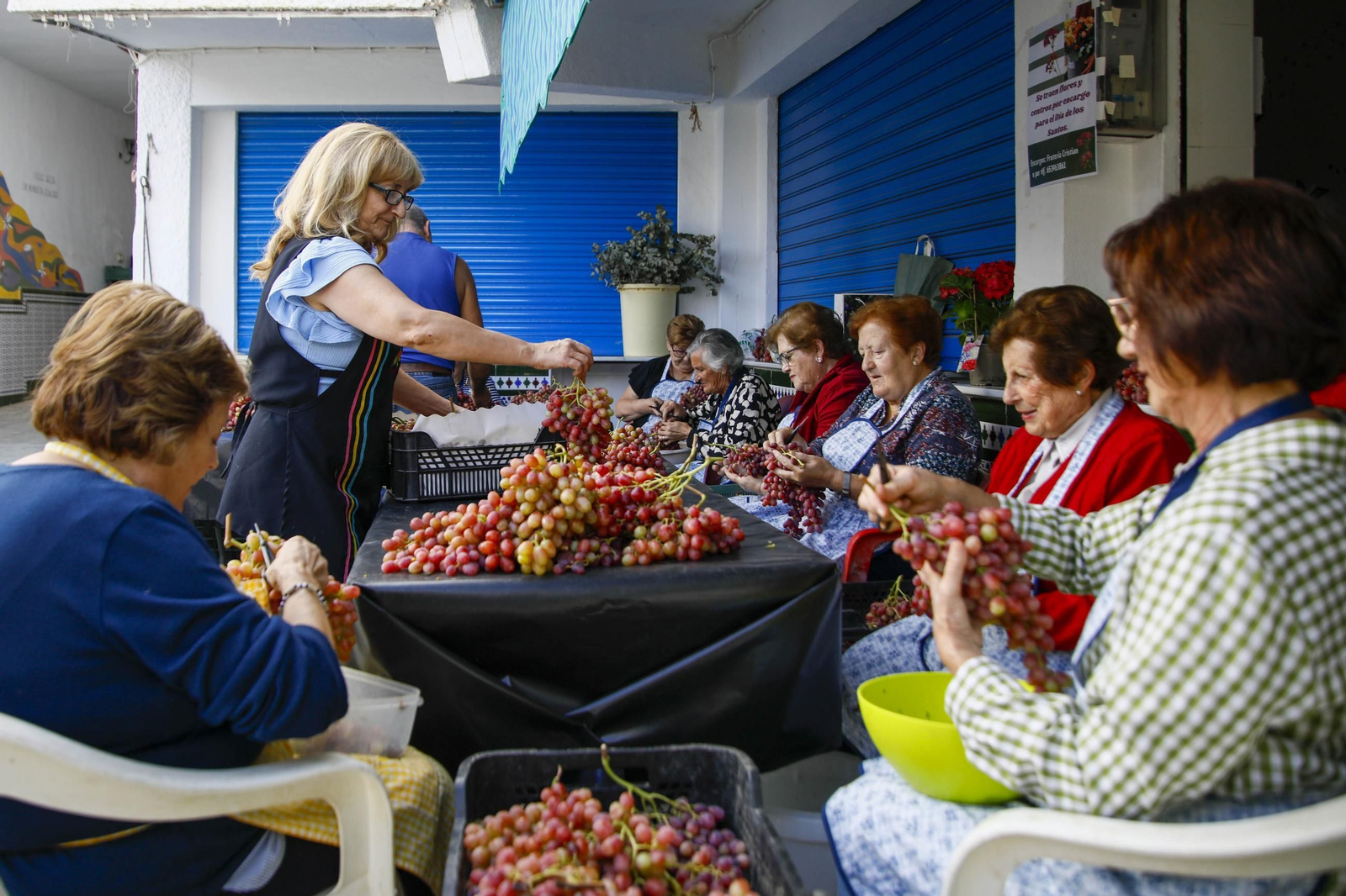 La tradicional faena de la uva de Canjayar, en imágenes