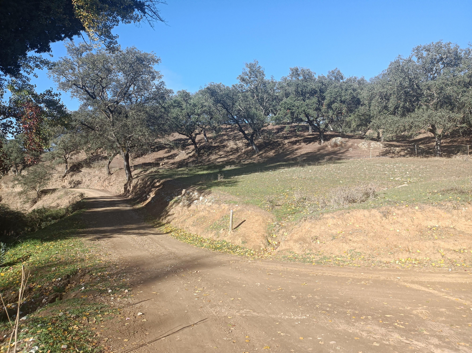 Fotos de la ruta de los molinos de Almadén de la Plata