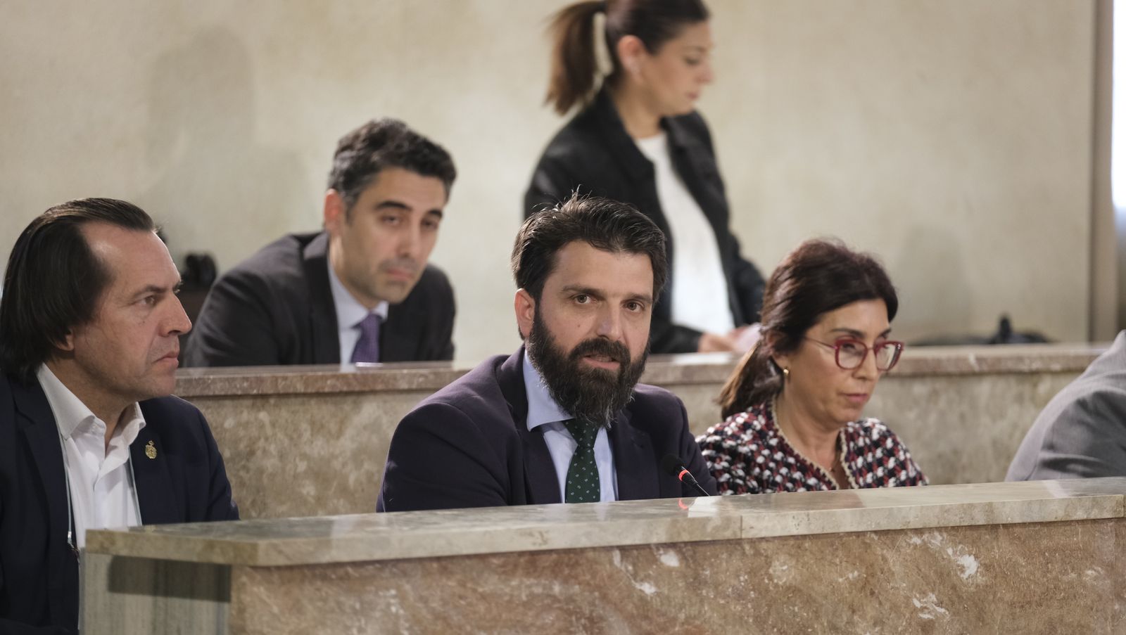 Imágenes del pleno extraordinario del Ayuntamiento de Almería