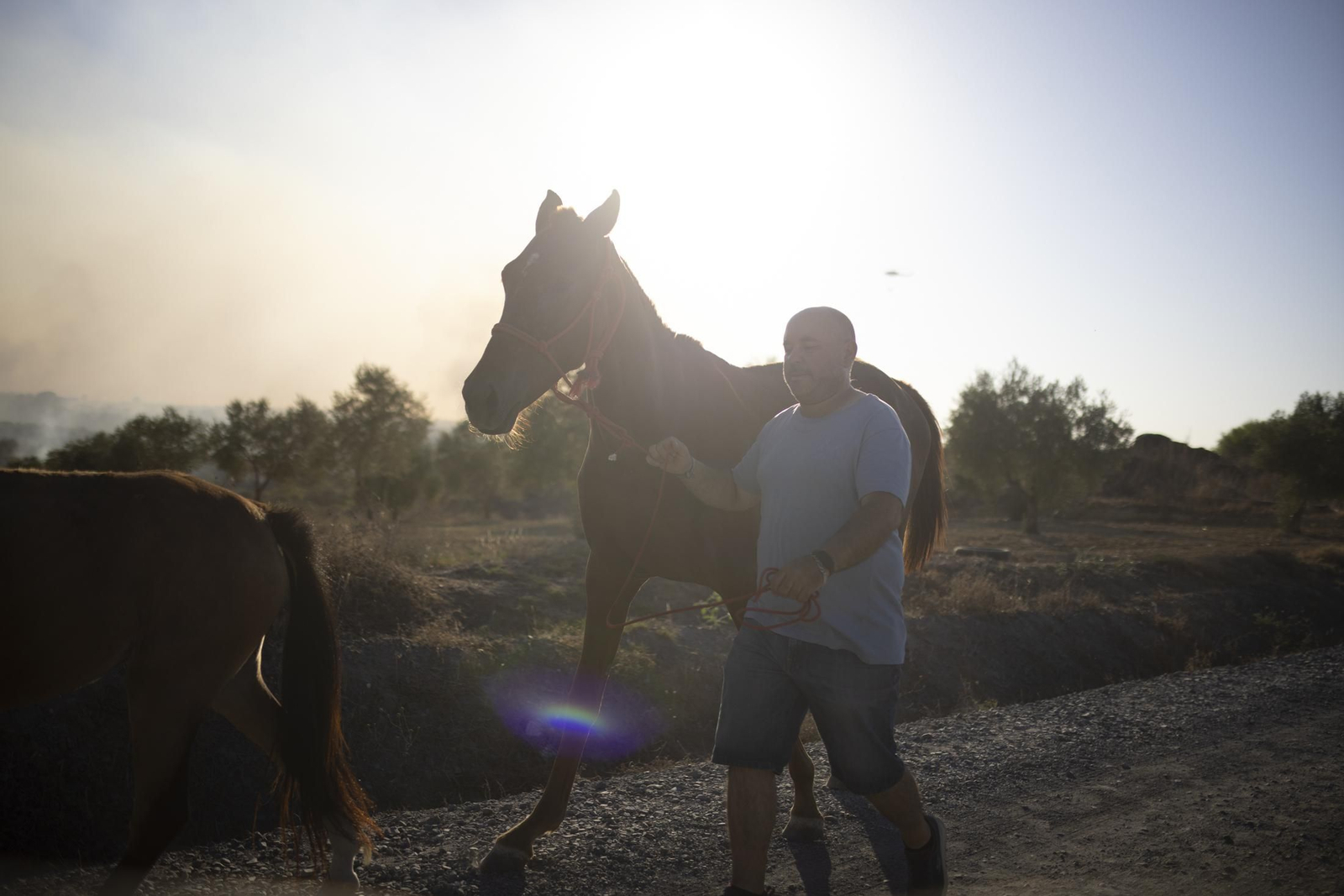 Imágenes del incendio de Bonares