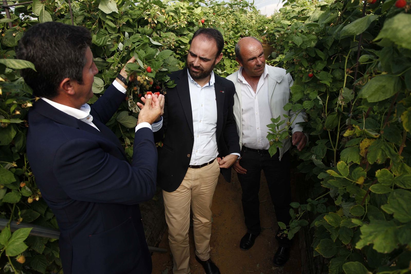 Inauguración de la finca experimental de  Onubafruit