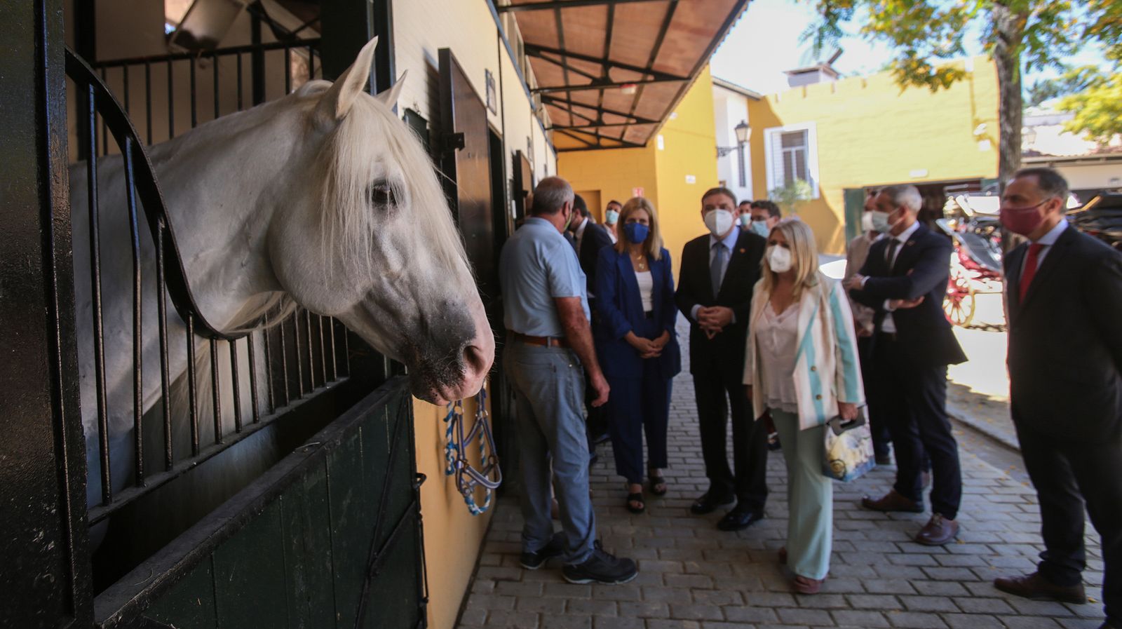 El ministro de agricultura Luis Planas visita Jerez y la yeguada del Hierro del Bocado