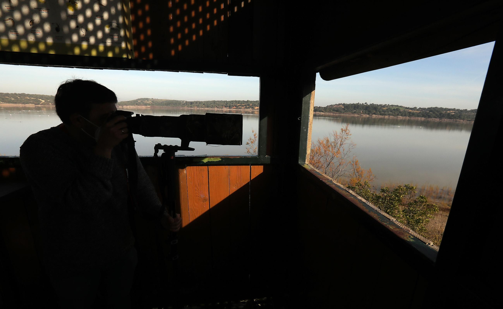 La Laguna de Medina, un paraíso para las aves