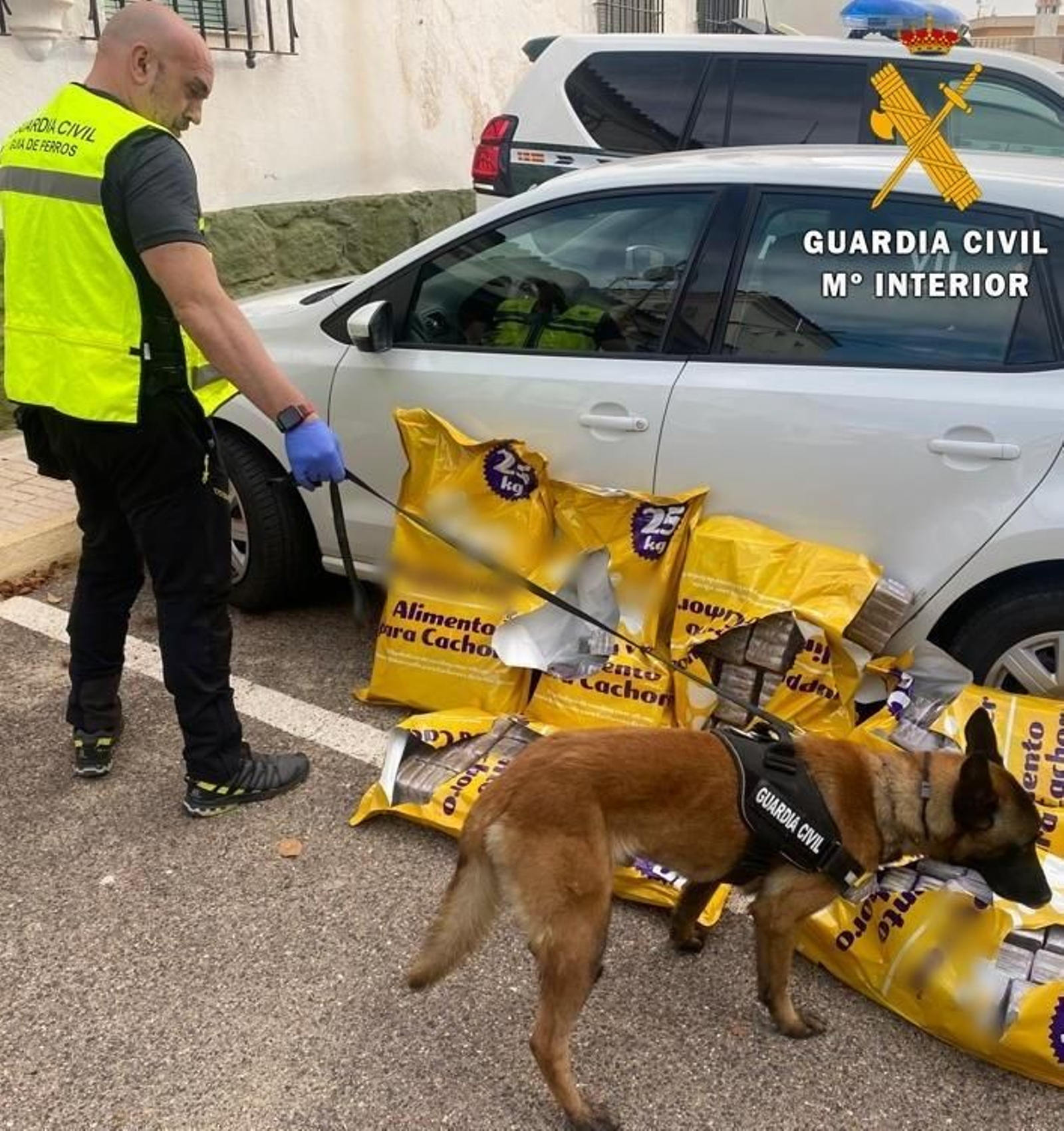 Detenido con 100 kilos de hachís ocultos en sacos de pienso para perros en la A-7 a su paso por Turre