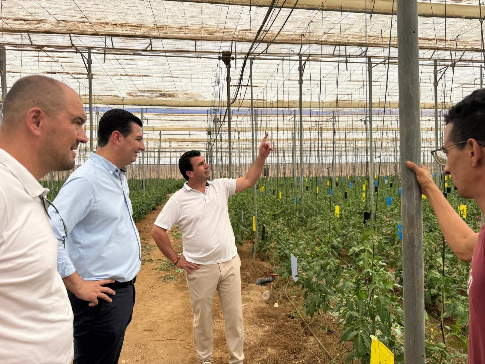 El alcalde y el concejal de agricultura de Níjar visitan uno de los invernaderos del municipio.