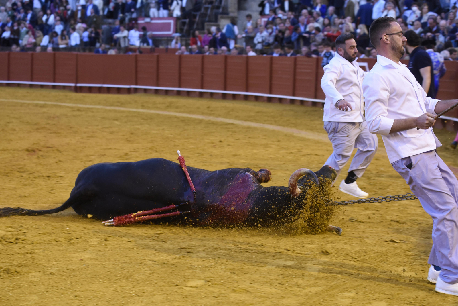 Las mejores imágenes de la corrida de toros del 24 de abril