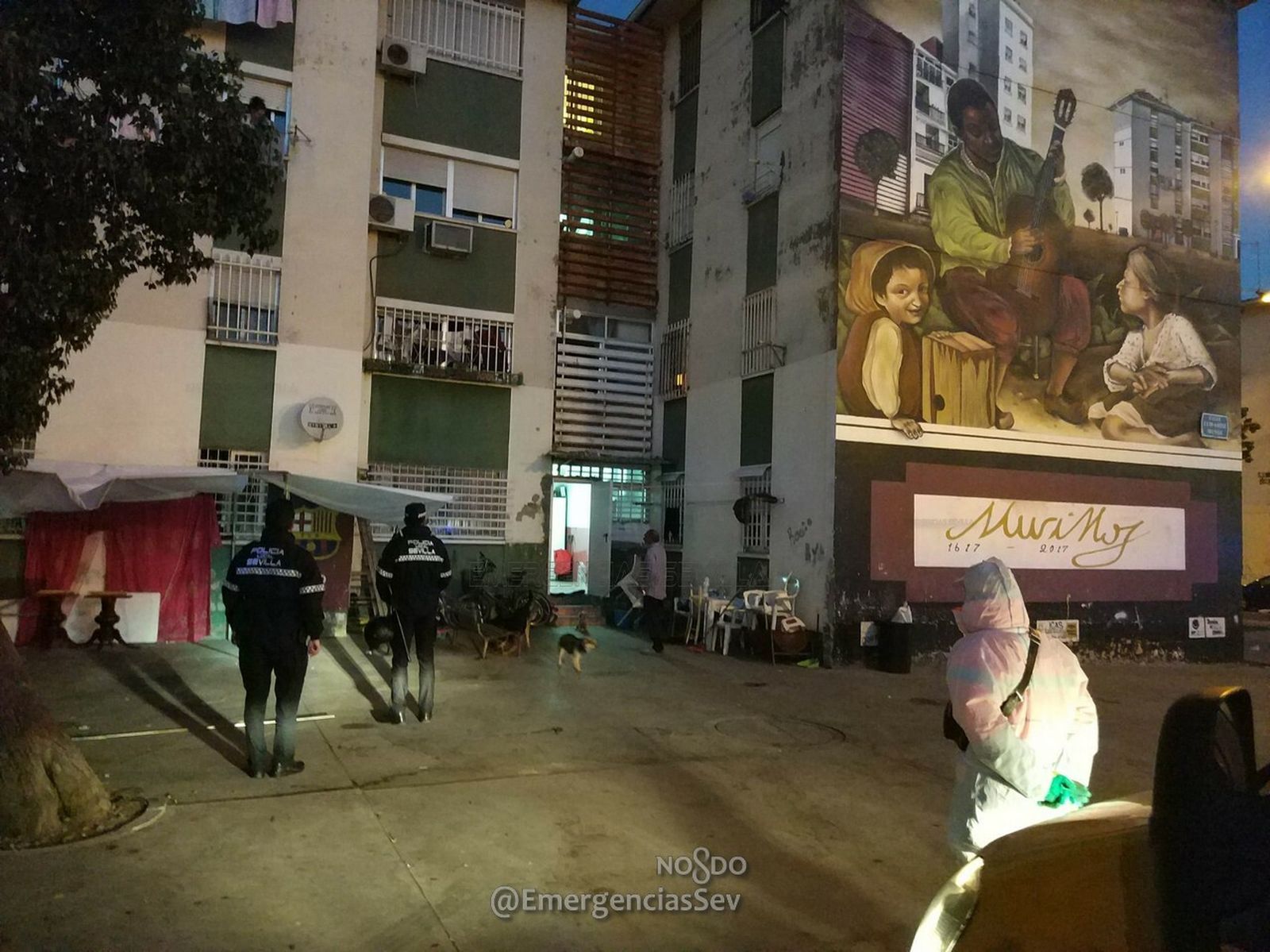 Policías locales y trabajadores de Lipasam, durante la intervención.