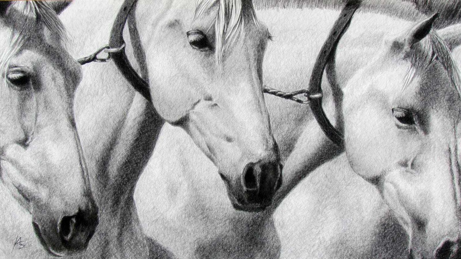 'Cobra II'. Lápiz conté sobre papel.