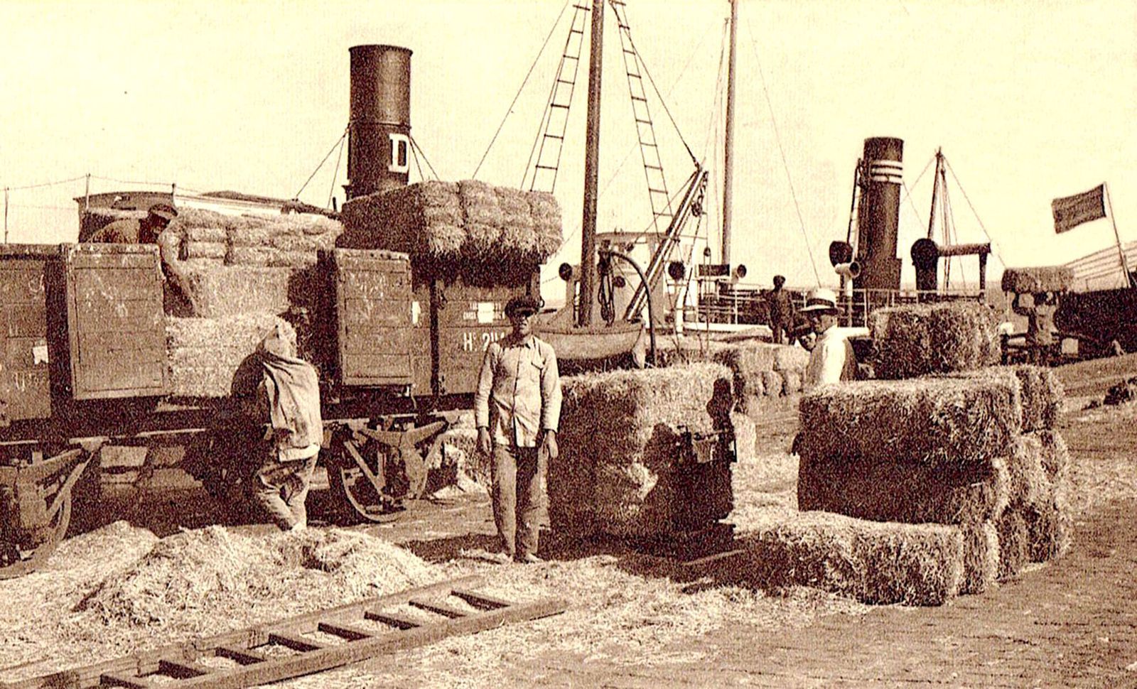 Tarjeta postal. Carga y descarga en los muelles. 1926.