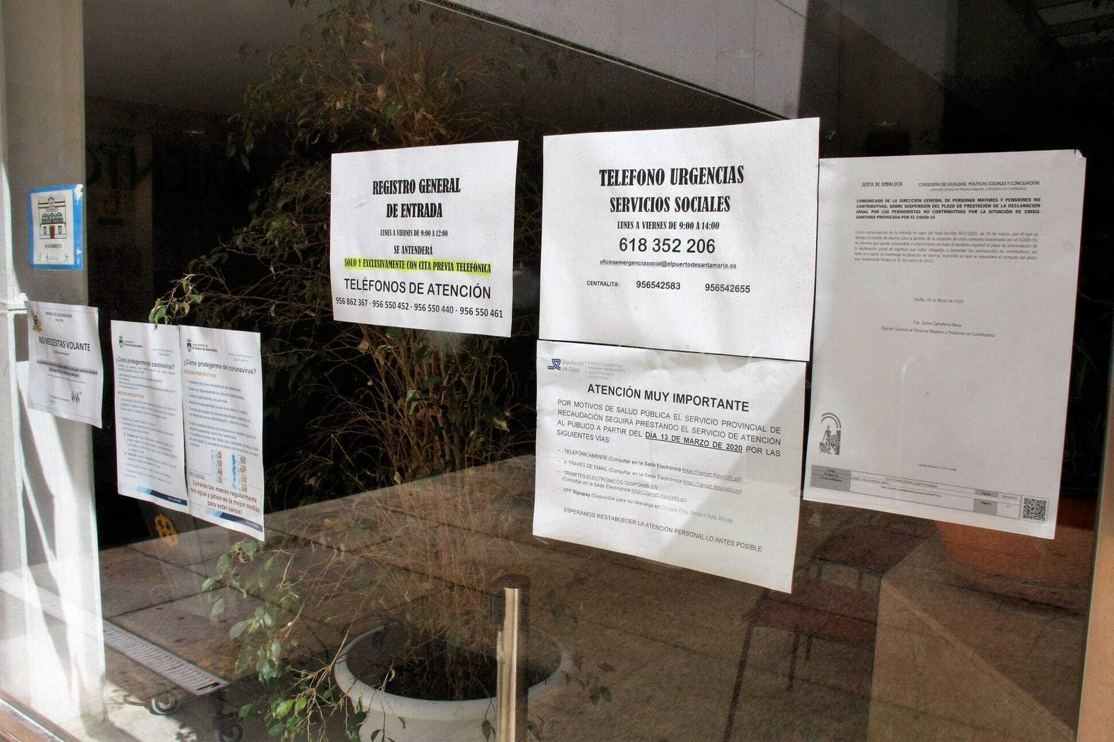 Carteles en la puerta del Ayuntamiento con los teléfonos habilitados para pedir ayudas.
