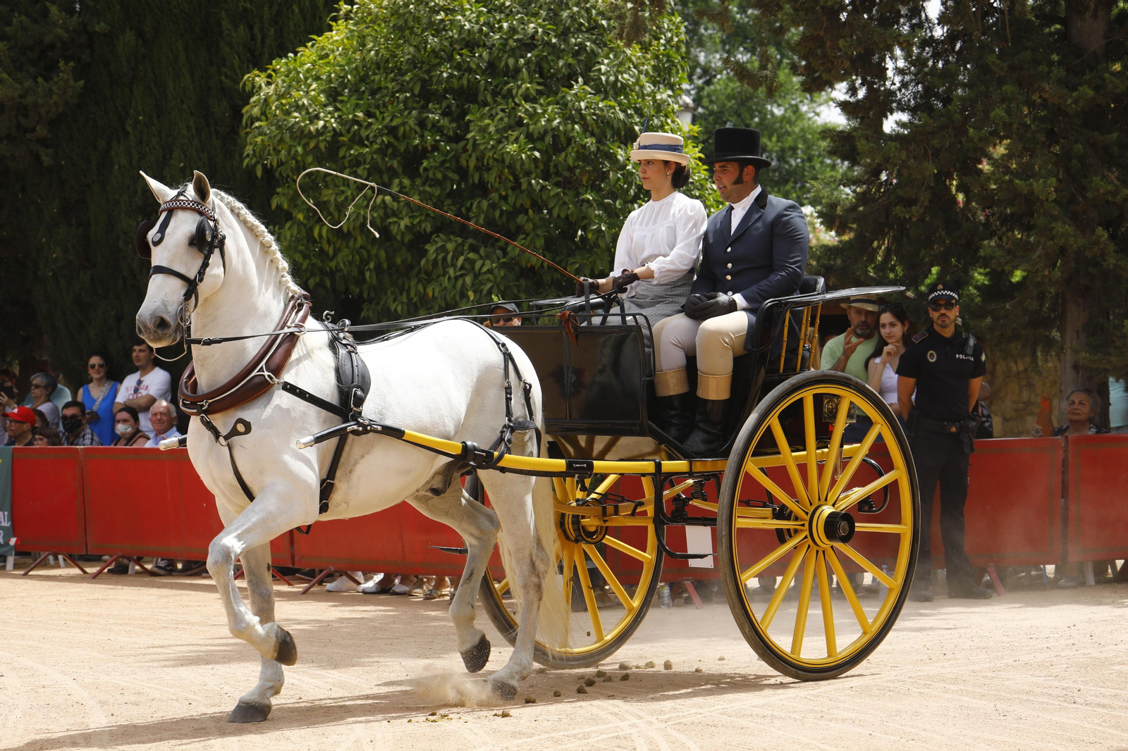 La Exhibición de Carruajes de Tradición de la Feria de Córdoba, en imágenes