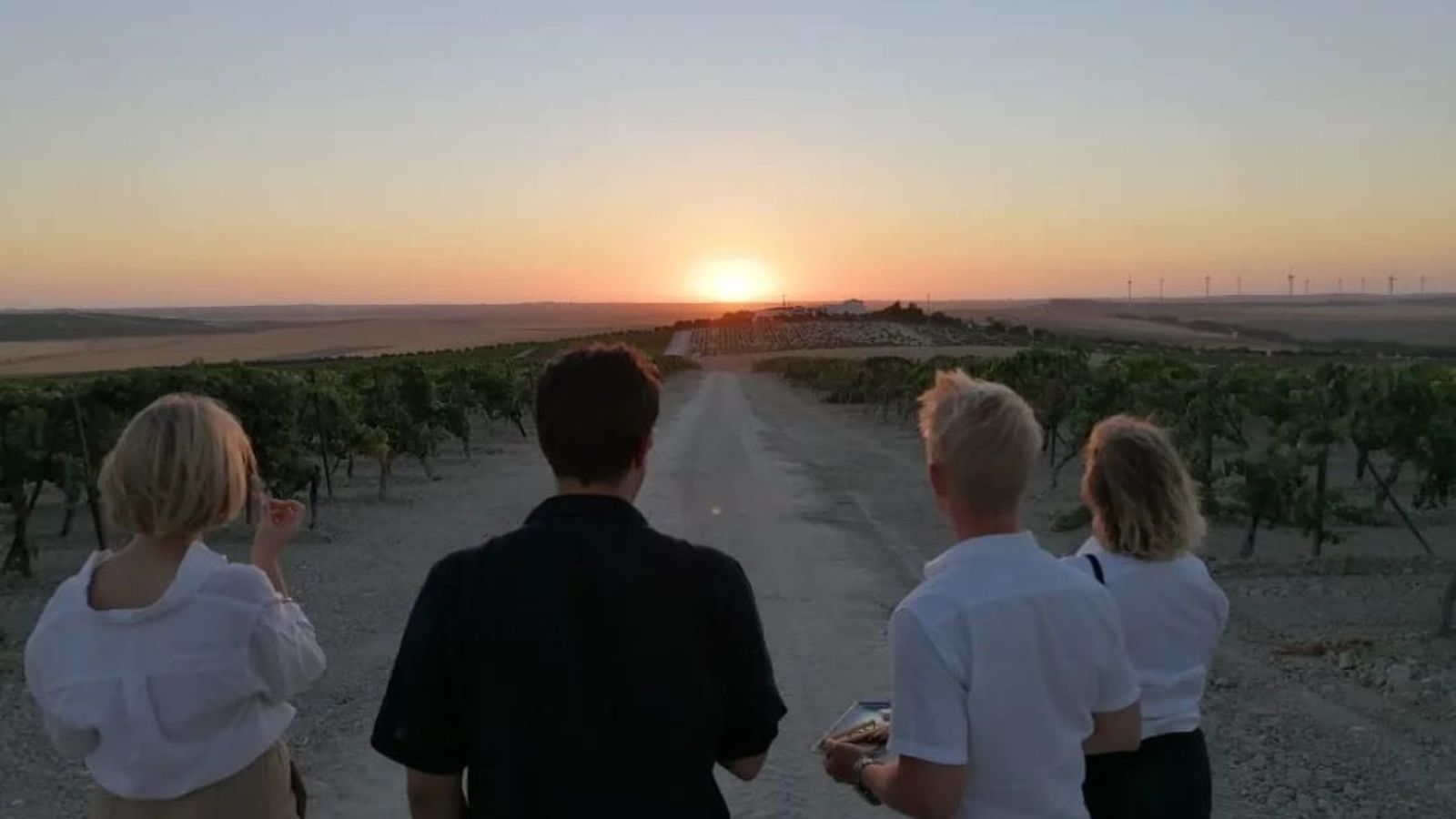 Visita a los viñedos de las Bodegas Hidalgo-La Gitana, en Sanlúcar.