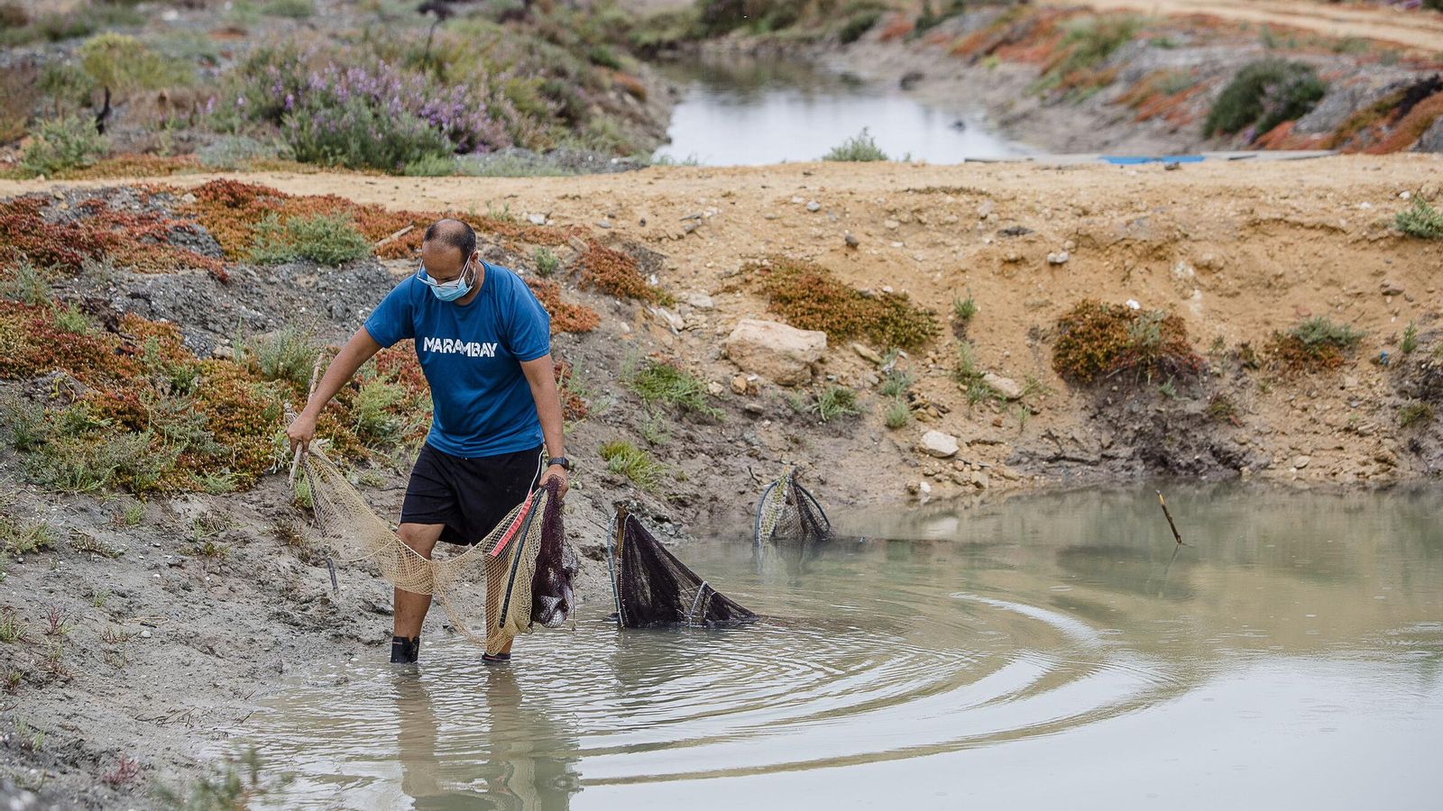 Recogiendo unas redes en uno de los caños.
