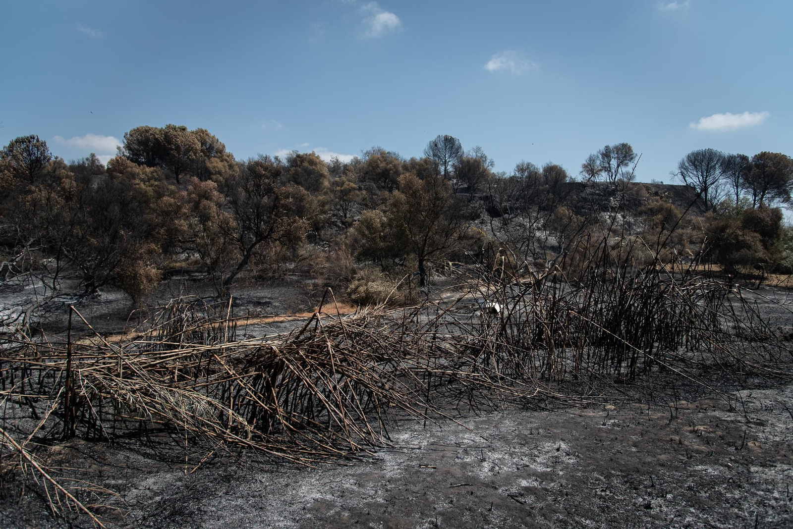 Imágenes de los destrozos causados por el incendio de Lucena del Puerto