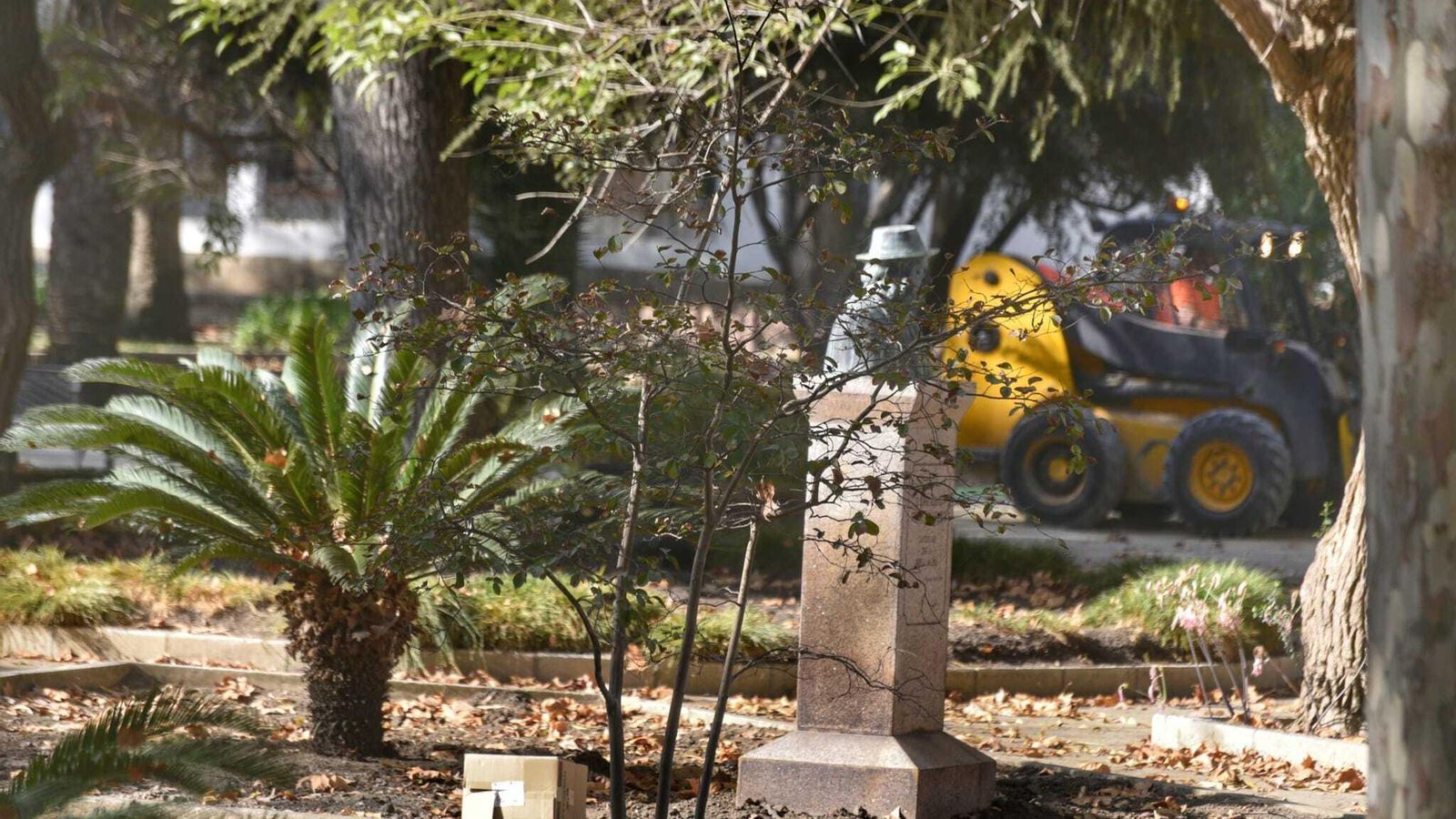 Estado actual de los parterres