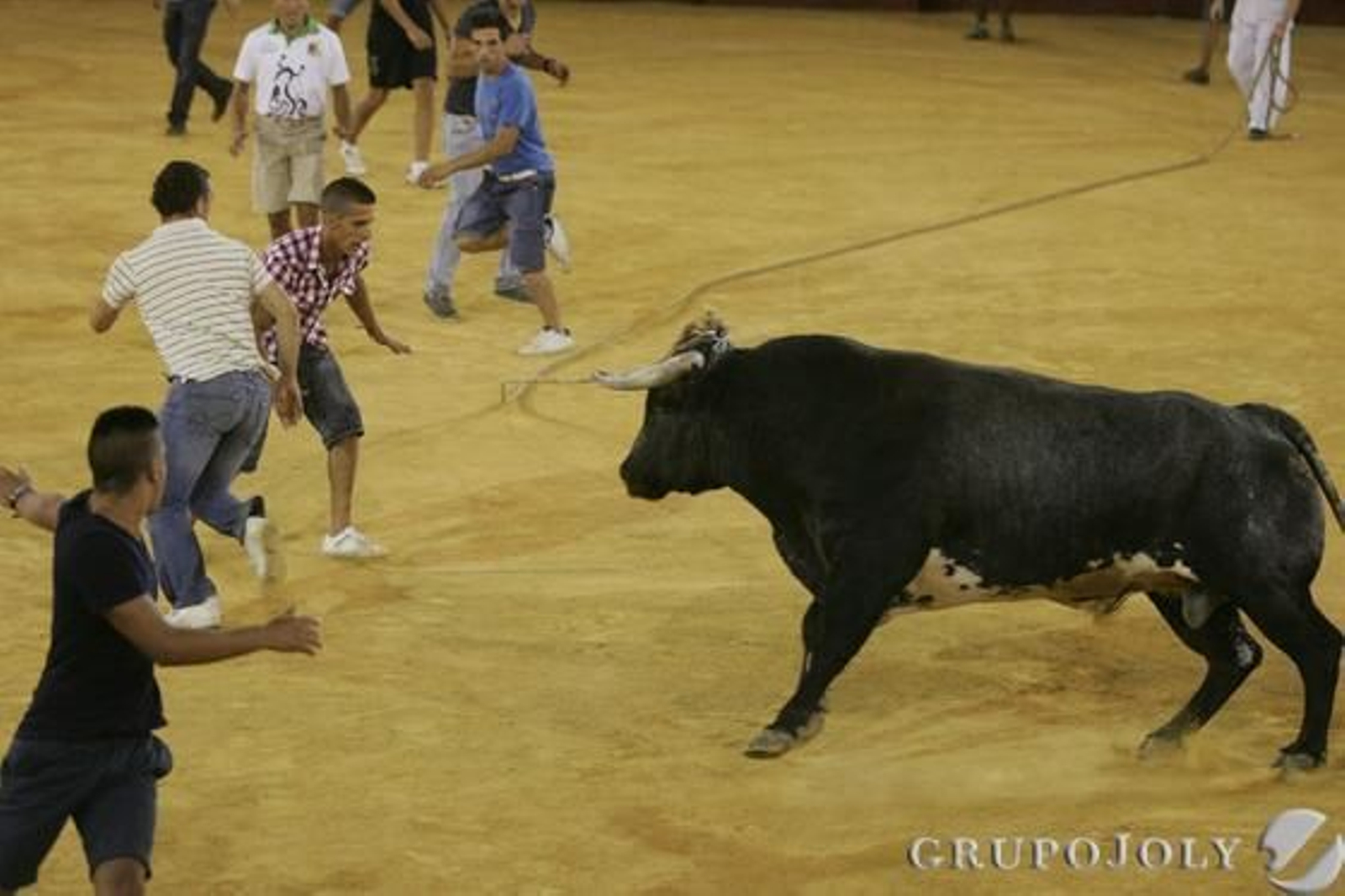 Jóvenes mozos corriendo delante del toro

Foto: José María Quiñones