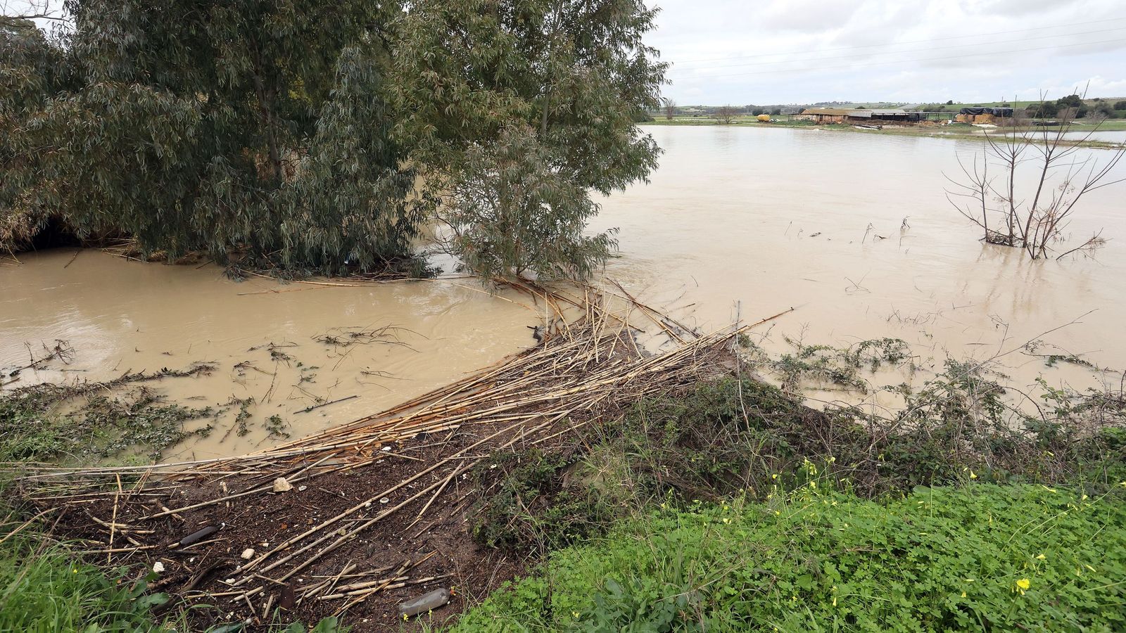 El Guadalete comienza a bajar su nivel poco a poco por la zona rural de Jerez