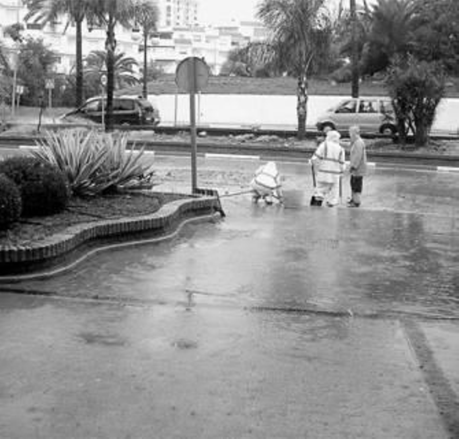Operarios trabajan en una alcantarilla en Estepona.