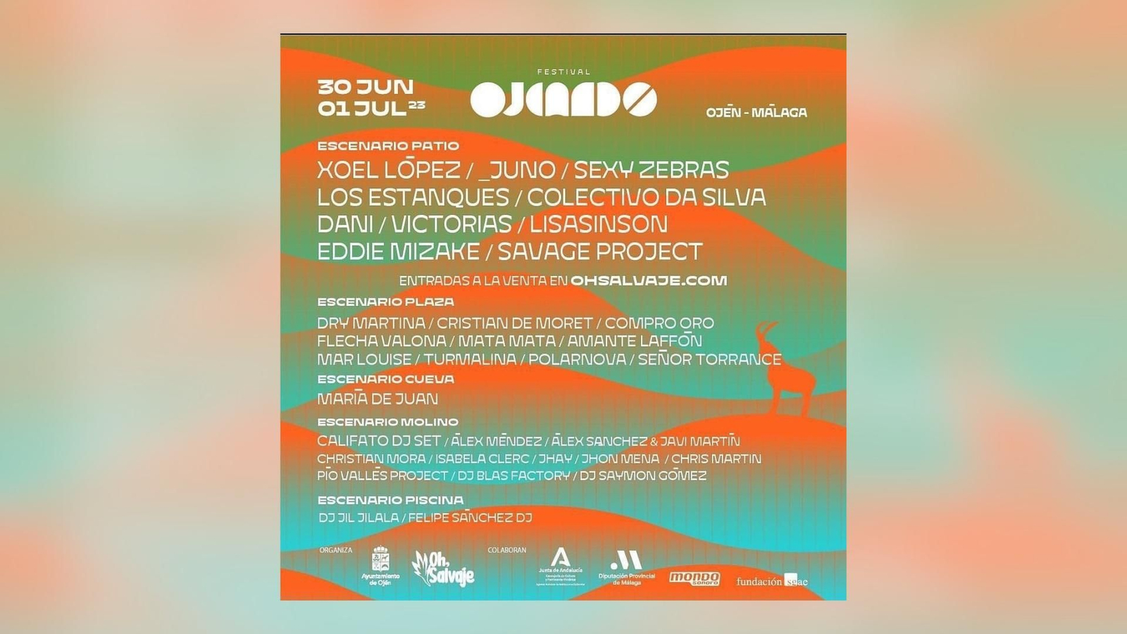 Cartel del festival. Cartel del festival.