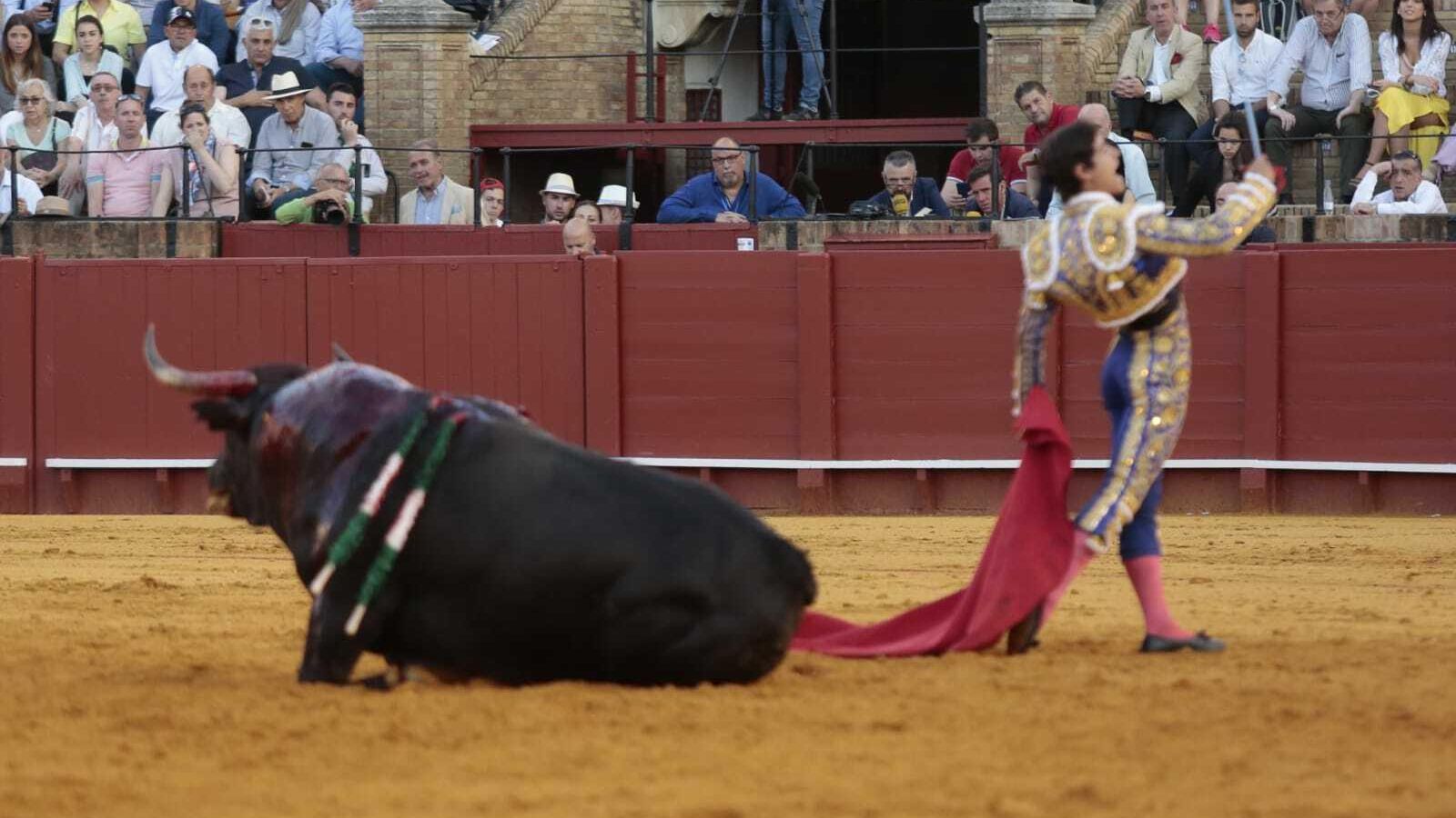 Luis David junto al quinto toro de la tarde.