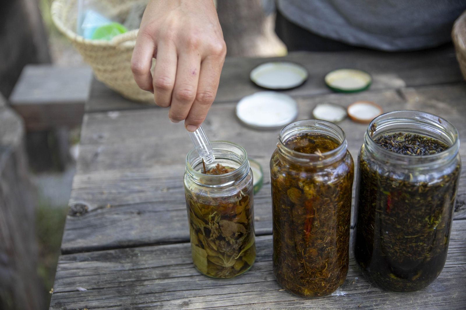 El jardin de lavandas en Benecid