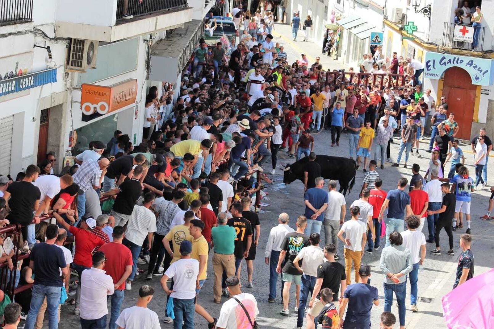 Las imágenes de la celebración del Toro del Aleluya en Arcos 2024