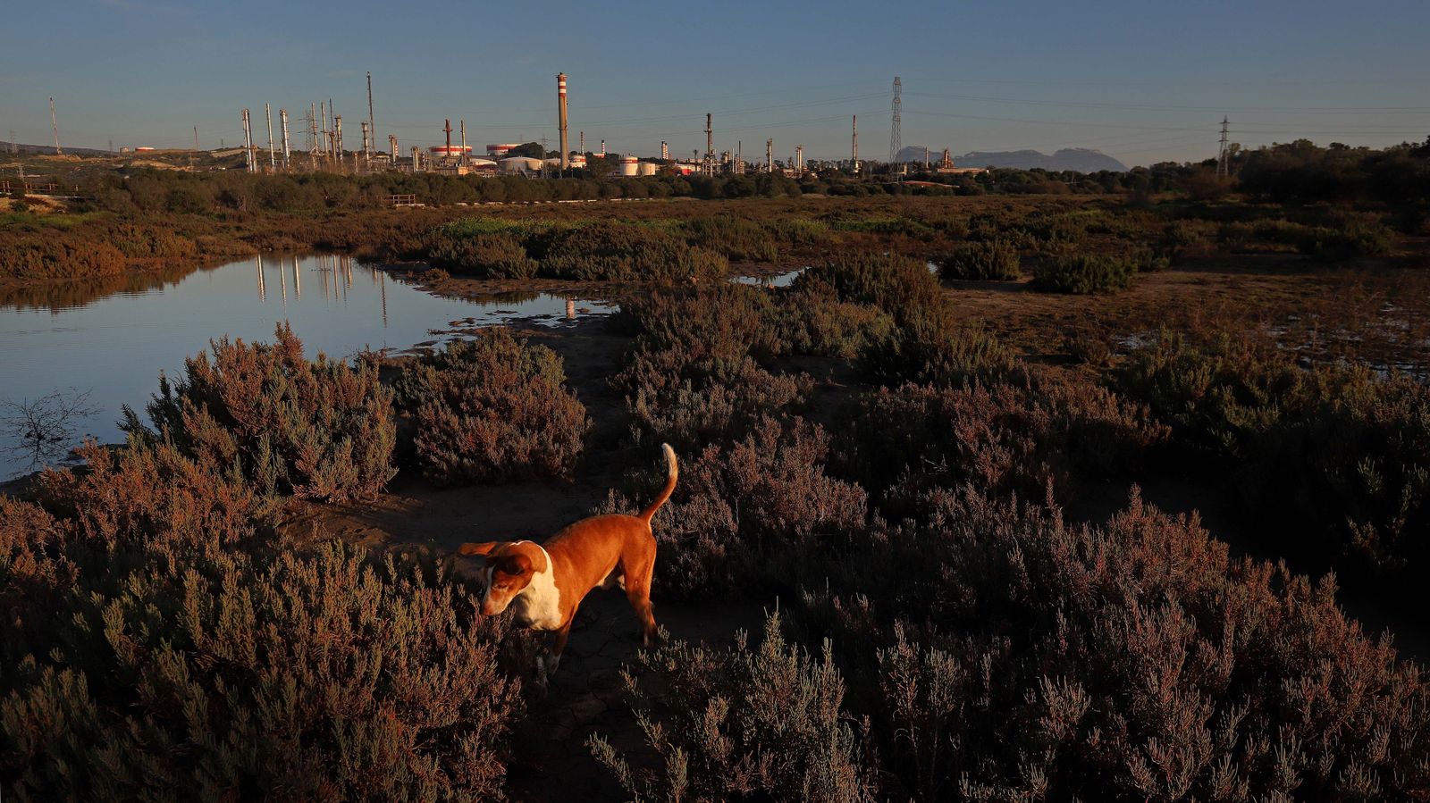Sendero del arroyo de la Madre Vieja en San Roque