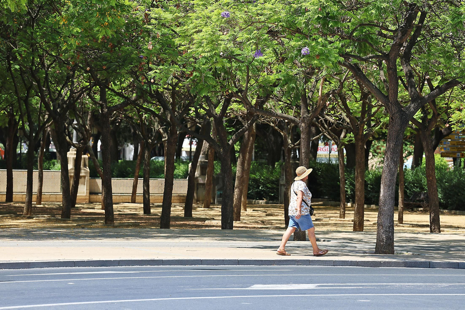 Imágenes de la Avenida de Andalucía en las mañanas de verano