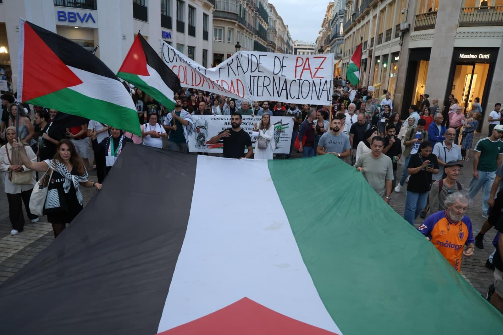 La manifestación por Palestina en Málaga, en imágenes