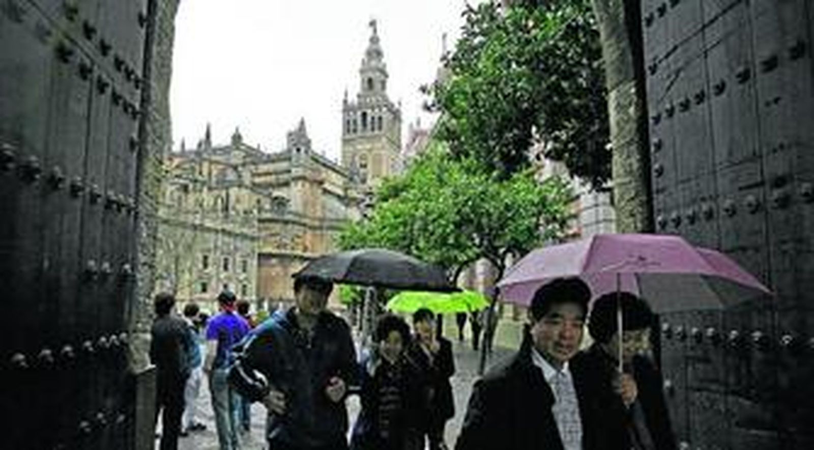 Turistas y paraguas ayer junto a la Catedral de Sevilla y la Giralda vista desde el Patio Banderas.
