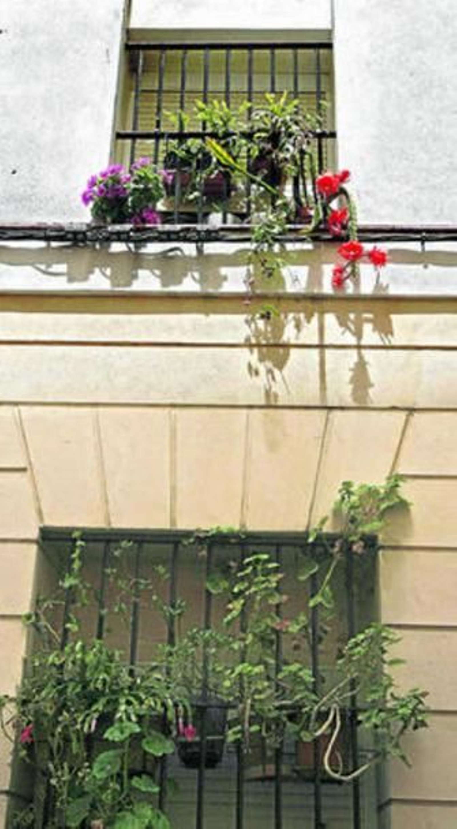 Los grandes cierros han sido sustituidos por grandes ventanales.