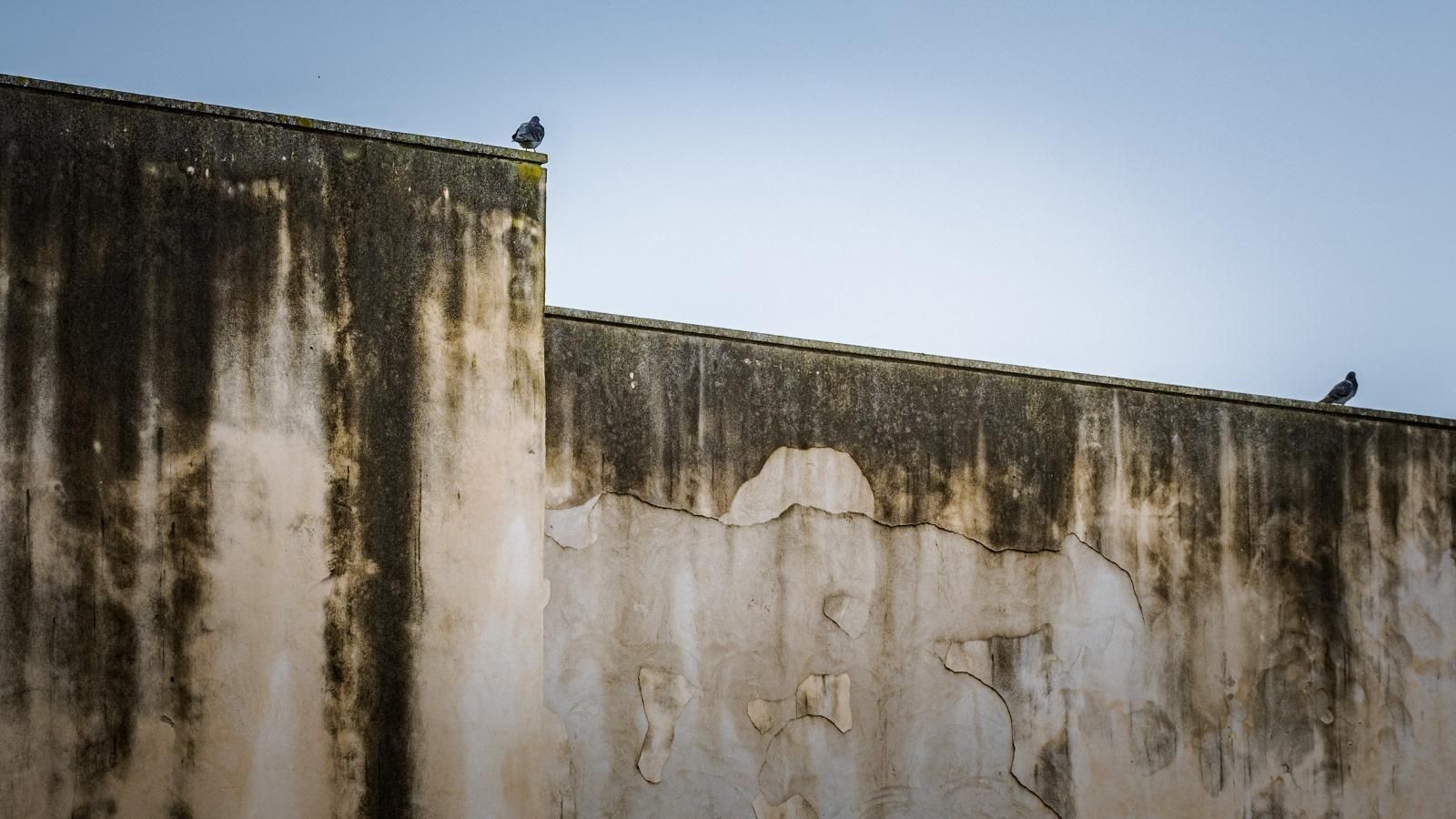 La intervención llevada a cabo en el Castillo de San Romualdo está cada vez más cuestionada.
