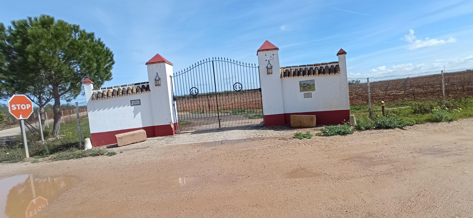 Las imágenes de la Ruta Azul en Bollullos de la Mitación