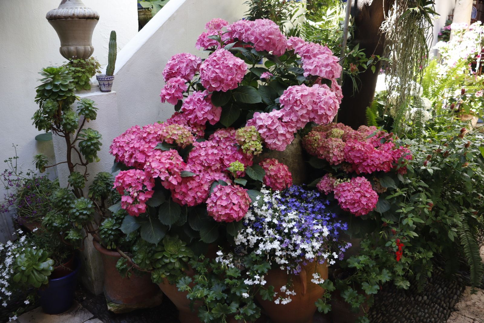 Ruta de los patios de San Lorenzo