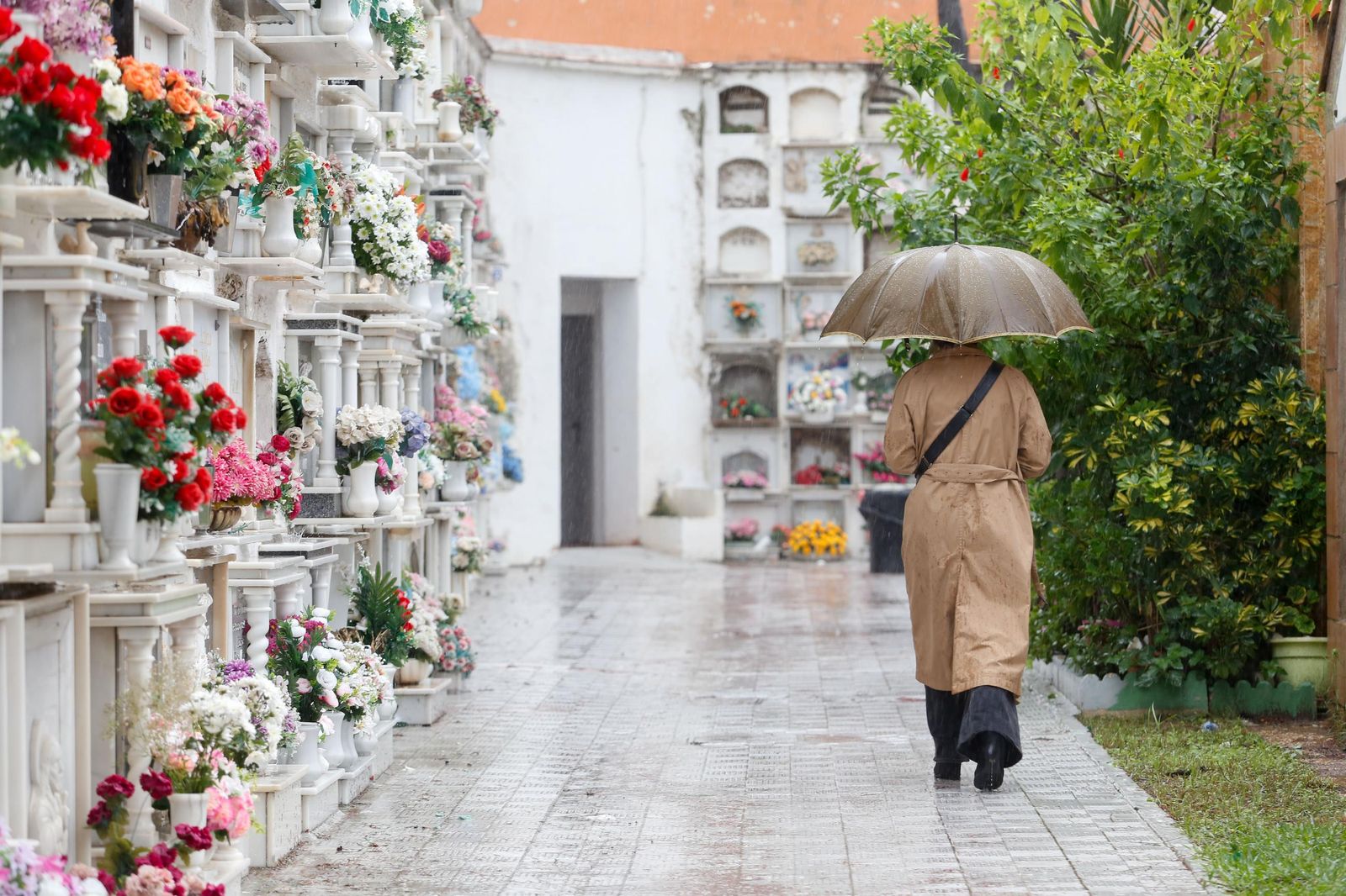 Fotos de los preparativos en el cementerio de La Línea por el Día de Todos los Santos