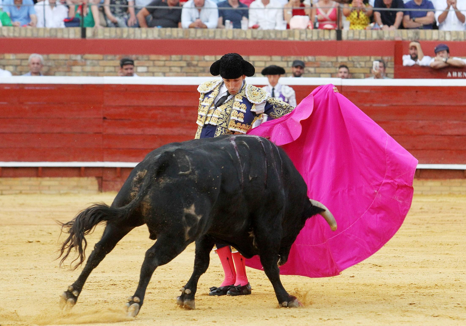 David de Miranda durante la corrida de esta tarde en la Plaza de Toros La Merced